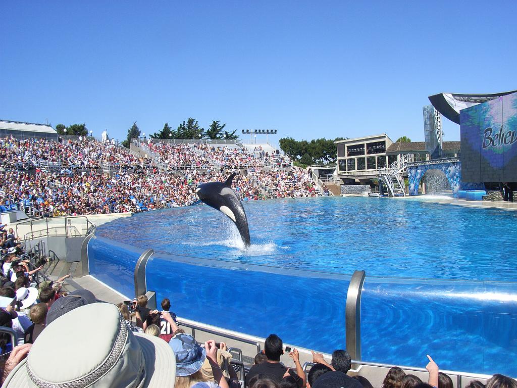20081018 san diego 005.jpg - Sea World San Diego. We were in the Splash Zone, but only got wet a little bit.